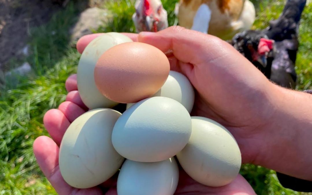 Das neue Programm ist da